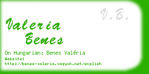 valeria benes business card